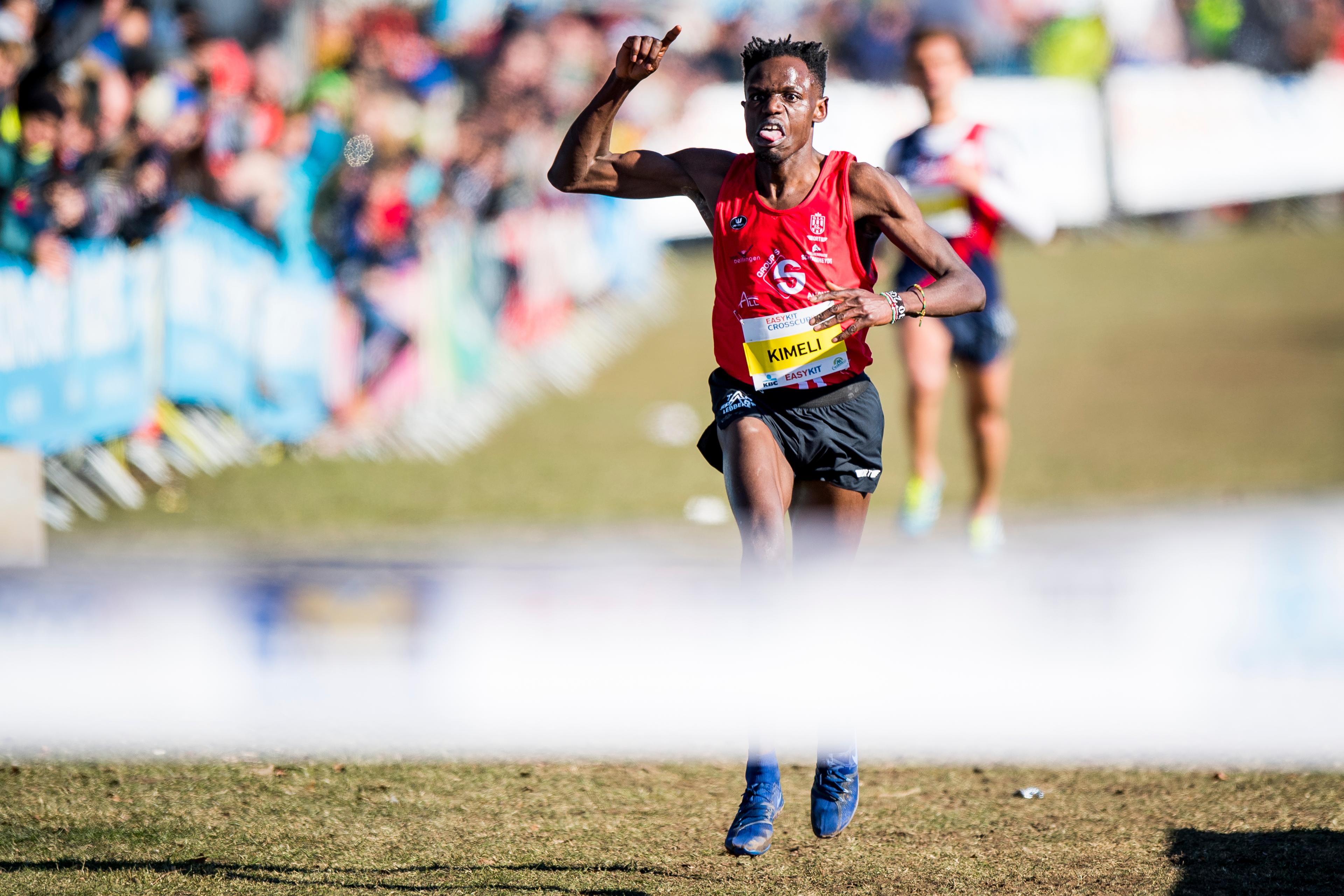 belgaimage-133203571-full