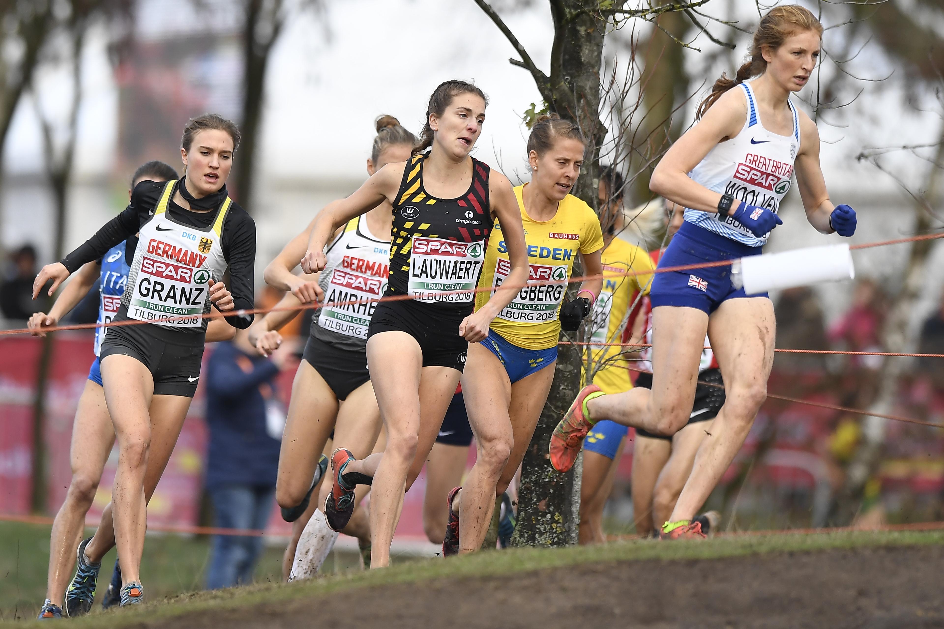 belgaimage-143036356-full