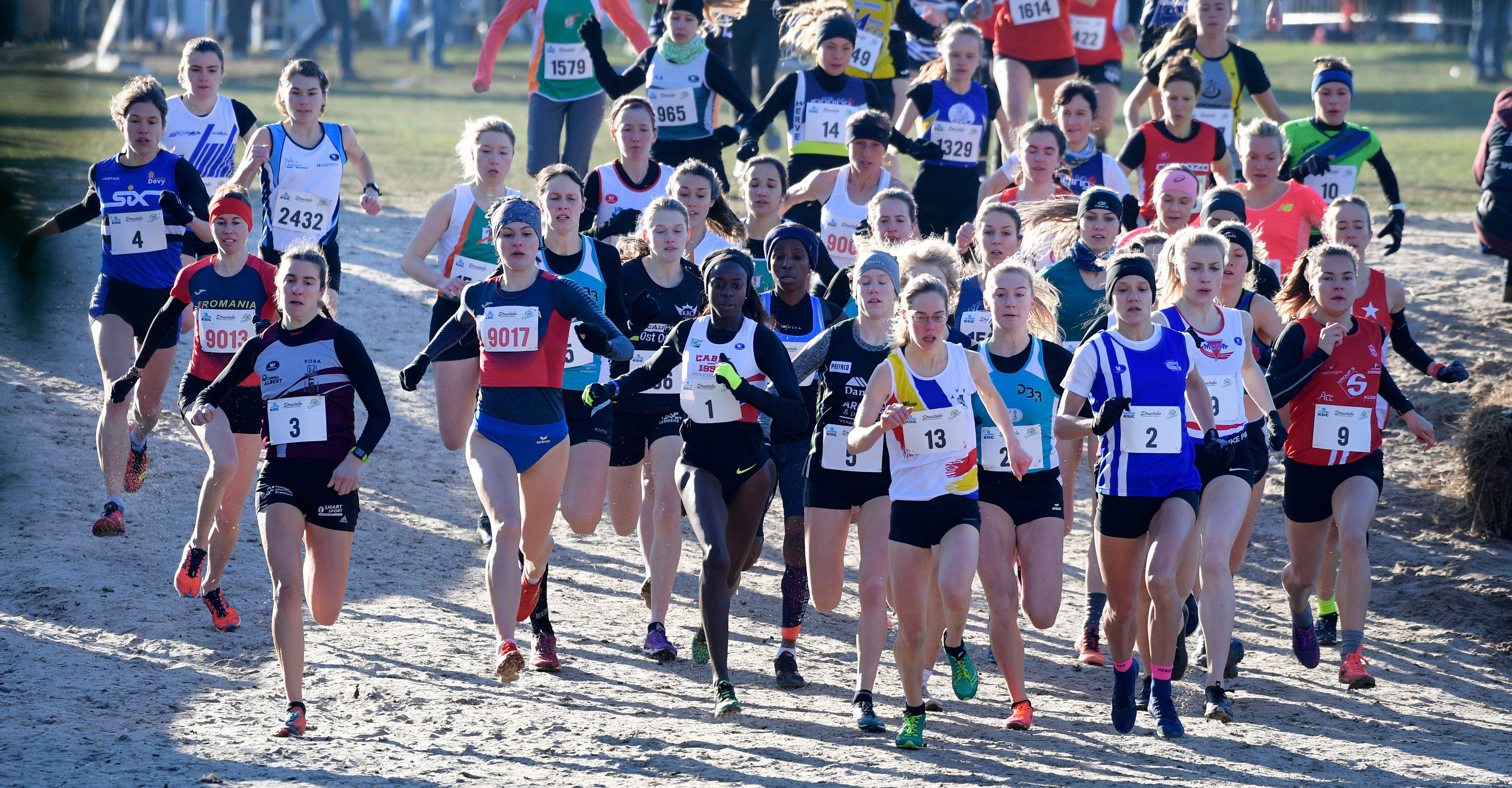 belgaimage-144291958-full