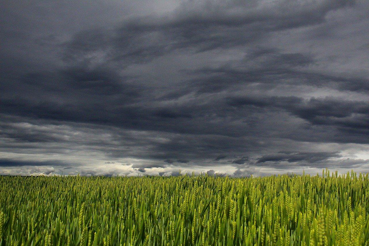 clouds-194840-1280