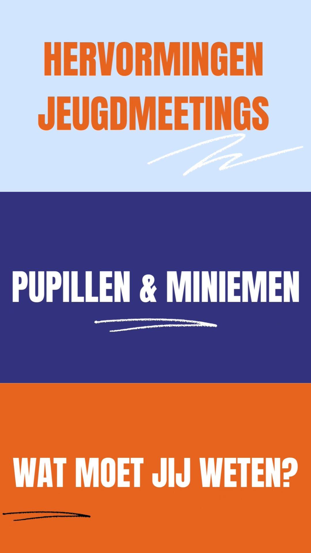 insta-hervormingen-pup-min