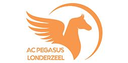 pega